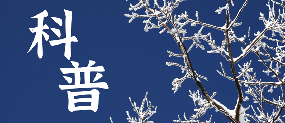 科普 | 冬季雨雪天氣?；愤\輸車輛注意事項